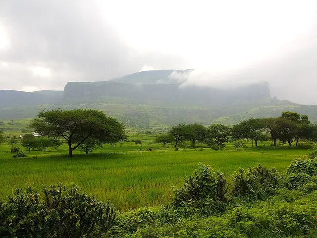 Anjaneri
