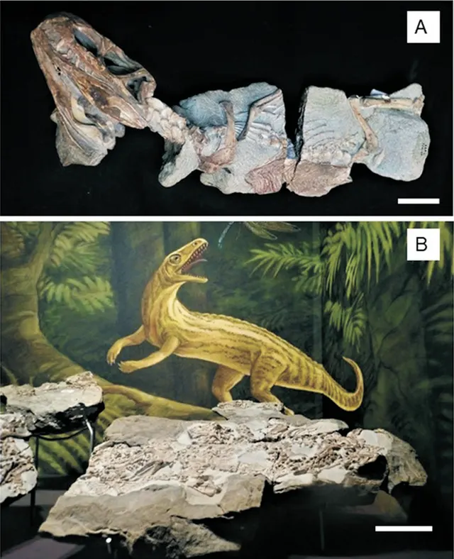Euparkeria