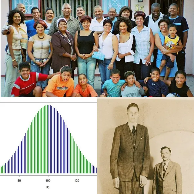 Human variability