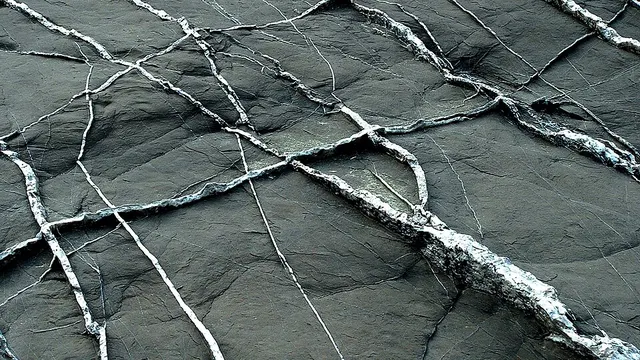 Vein