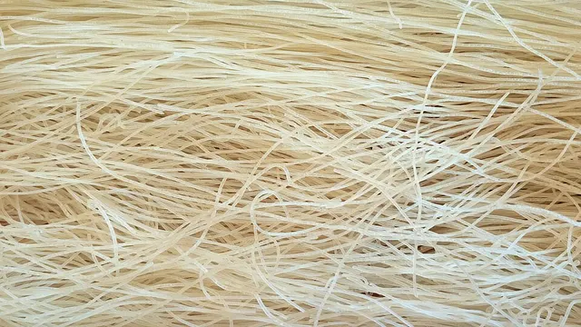 Nouilles de riz