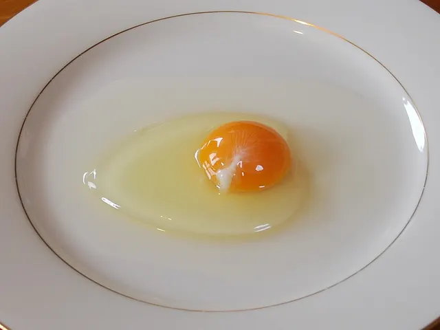 Blanc d'œuf