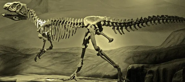 Piatnitzkysauridae
