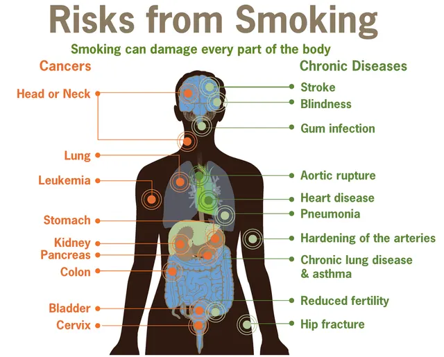 Effets du tabac sur la santé