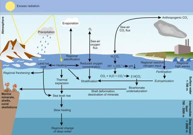Effets du changement climatique sur les océans