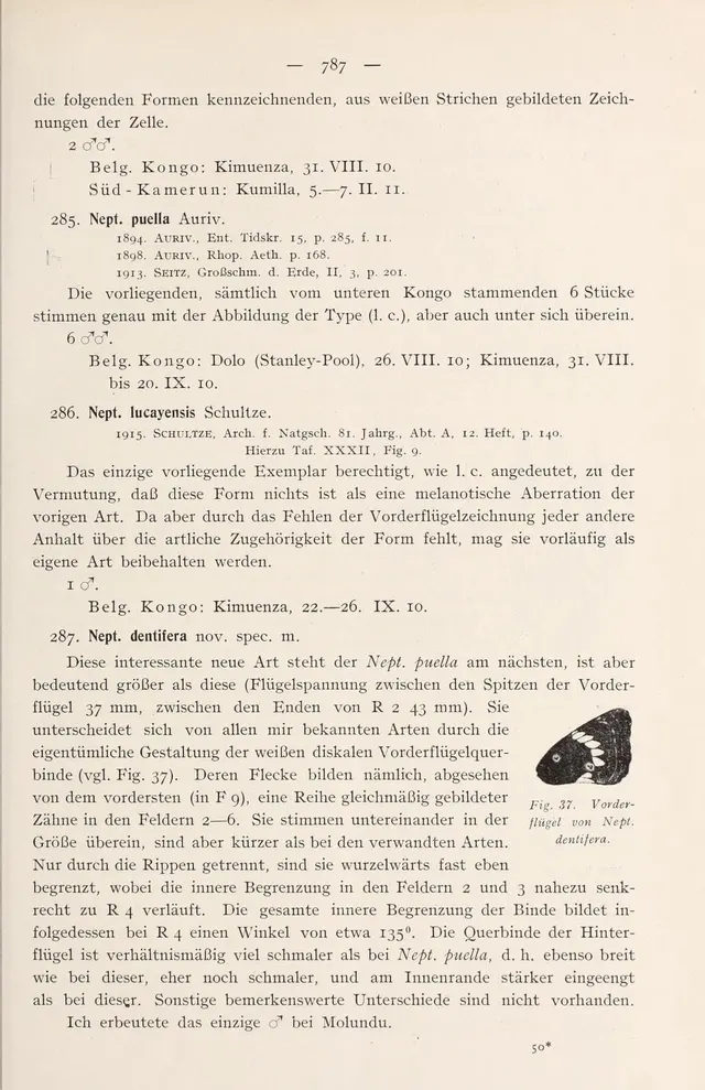 Neptis dentifera