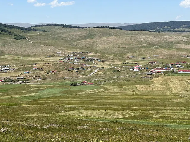 Günorta