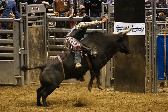 List of Canadian Professional Rodeo Association Champions