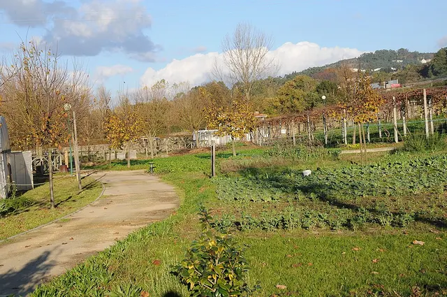 Braga Pedagogical Farm