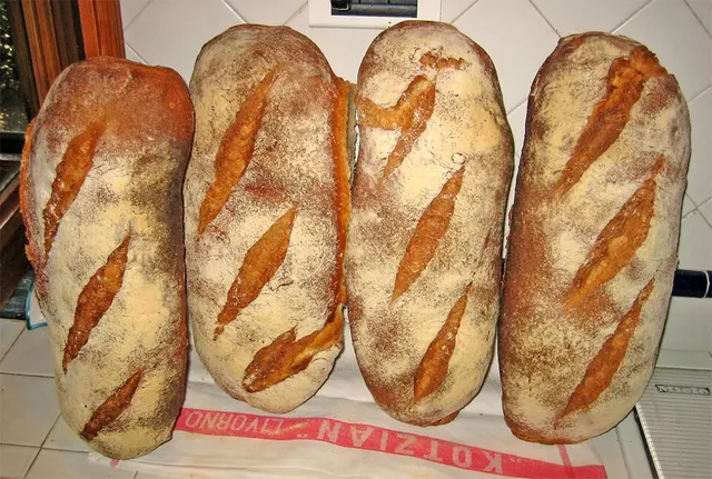 Pane sciocco