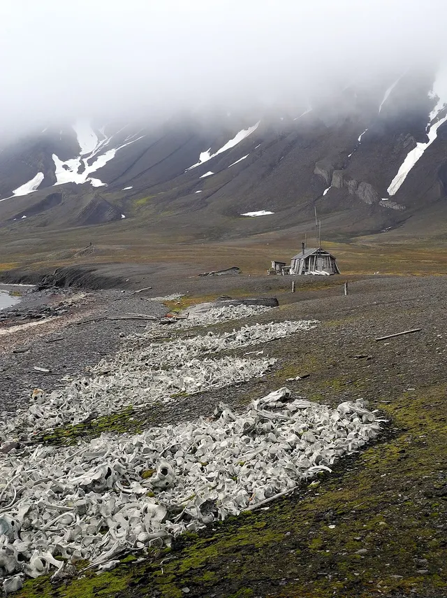 Ingebrigtsenbukta