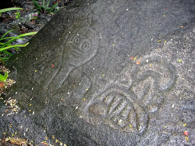 Reef Bay Trail petroglyphs