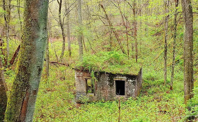 Mincar, West Virginia