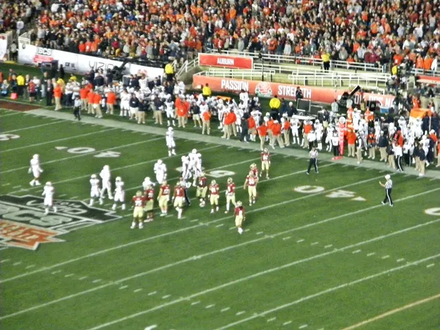 Championnat NCAA de football américain 2013