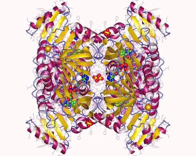 Glycine oxidase