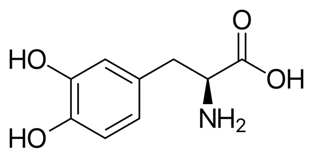 3,4-dihydroxyphenylalanine oxidative deaminase