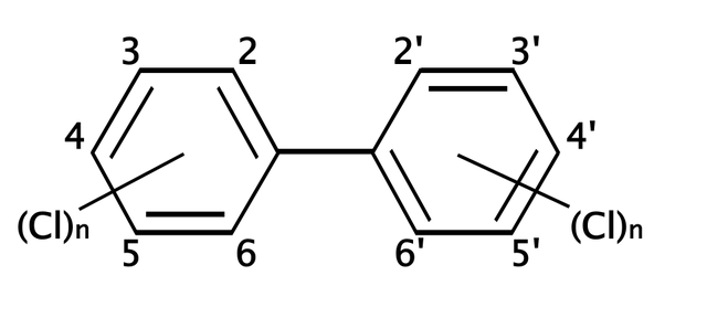 Congener
