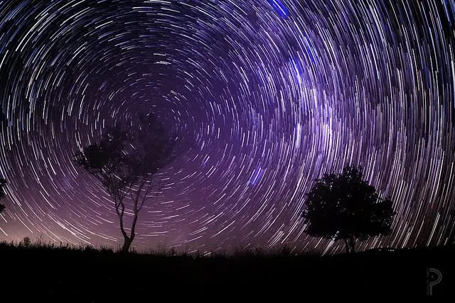 Cosmos