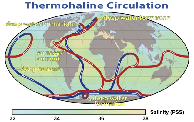 Circulation thermohaline