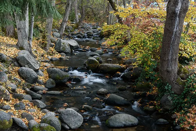 Ashland Creek