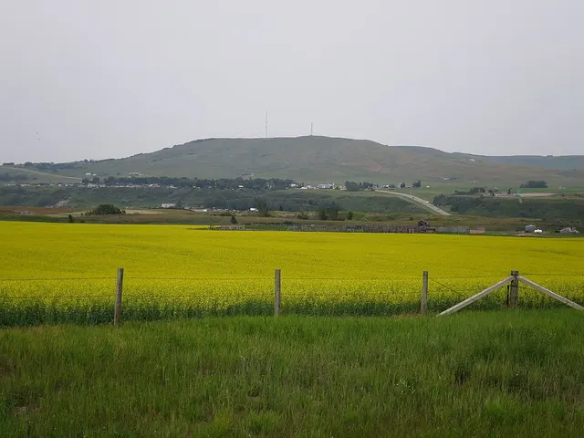 Longview, Alberta