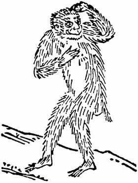 Jueyuan