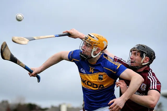 2014 National Hurling League