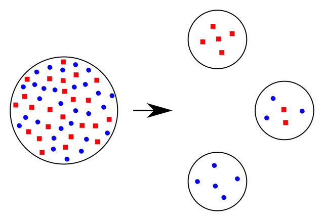 Founder effect