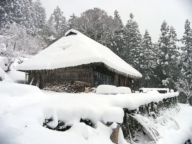 Chiiori