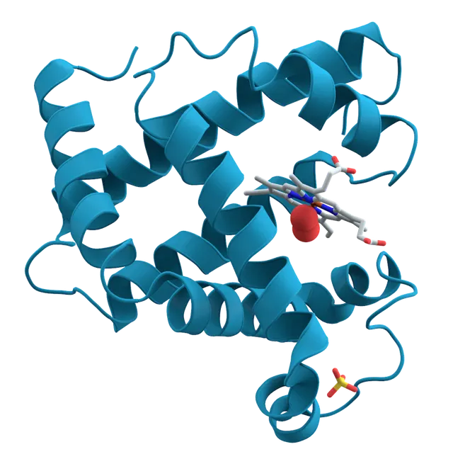 Biochimie
