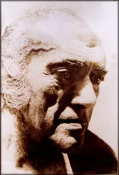 Bevis Bawa