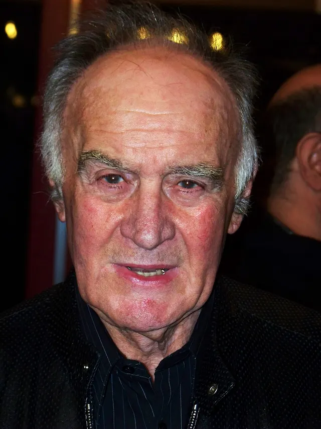Rémy Julienne