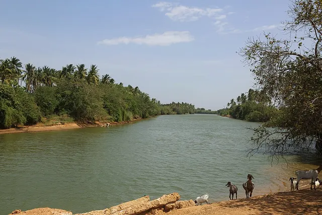 Jubba River