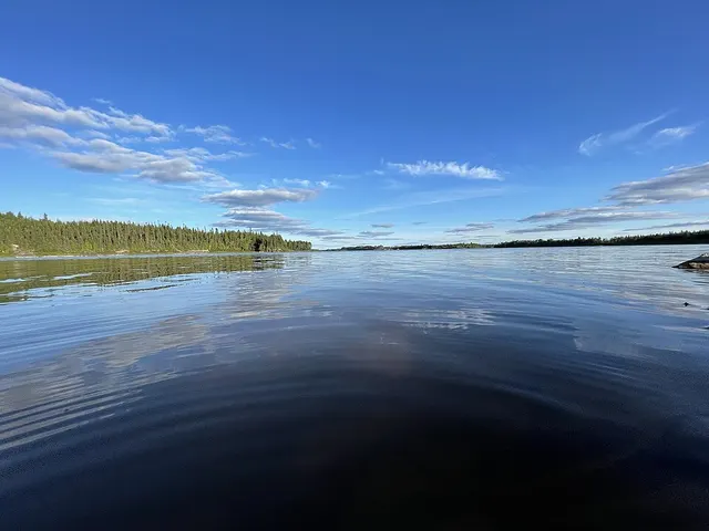 Bell River