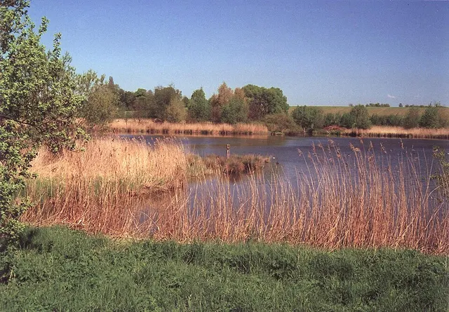 Opfermoor Vogtei