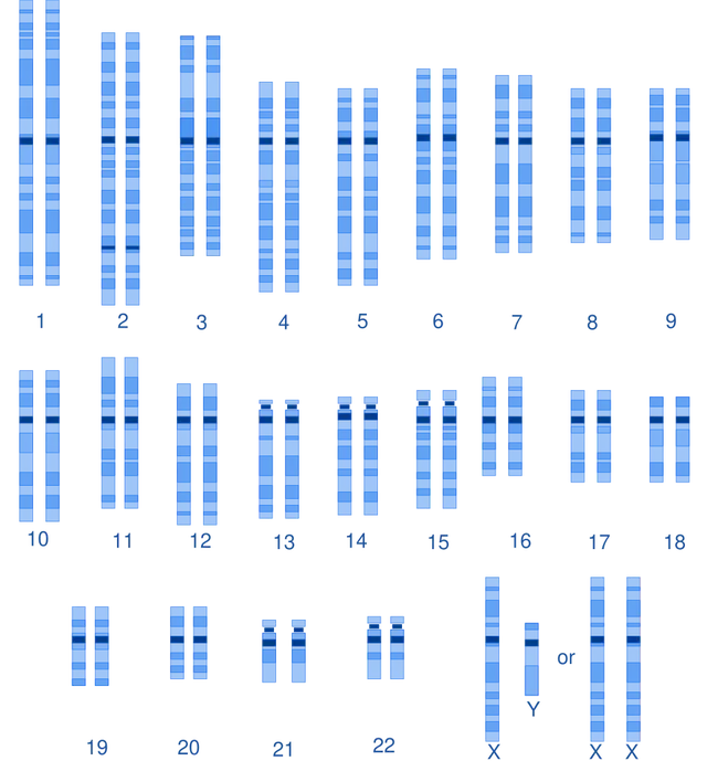 Genetic diversity