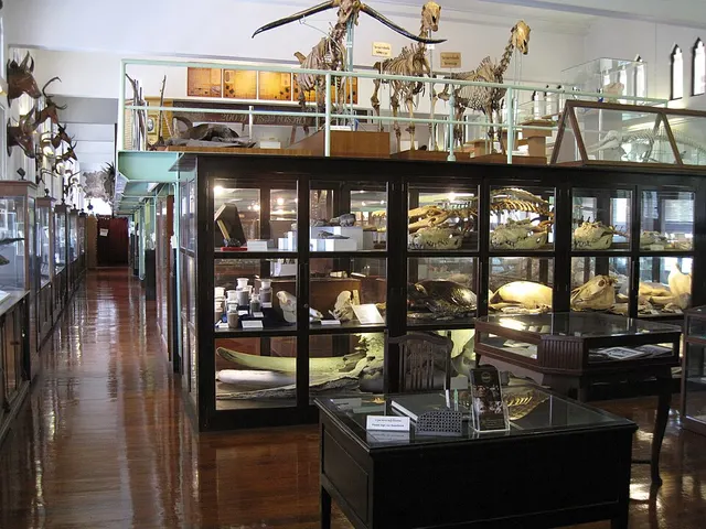 Chulalongkorn University Museum of Natural History