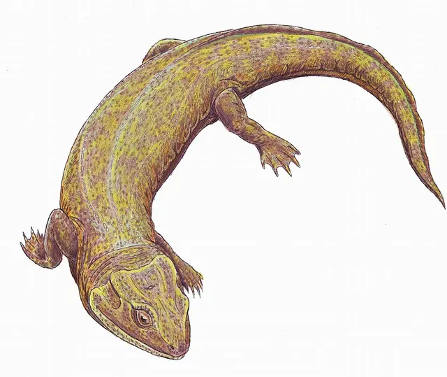 Nycteroleterinae