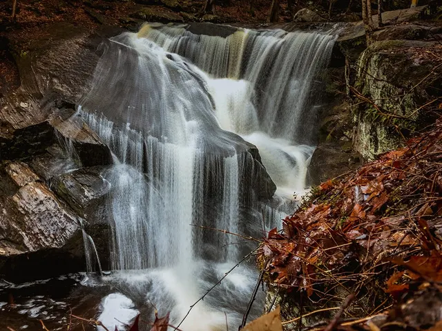 Enders State Forest