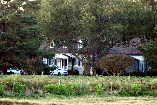 Belmont
