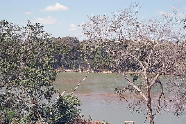 Takutu River