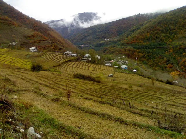 Palam, Iran