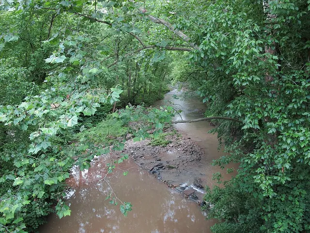 Twomile Creek