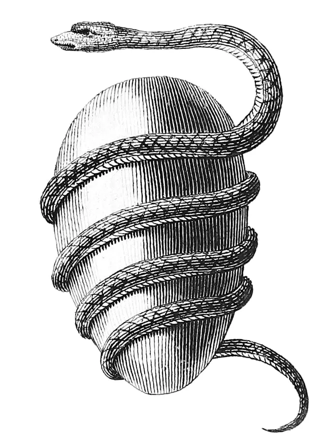 Cosmic egg