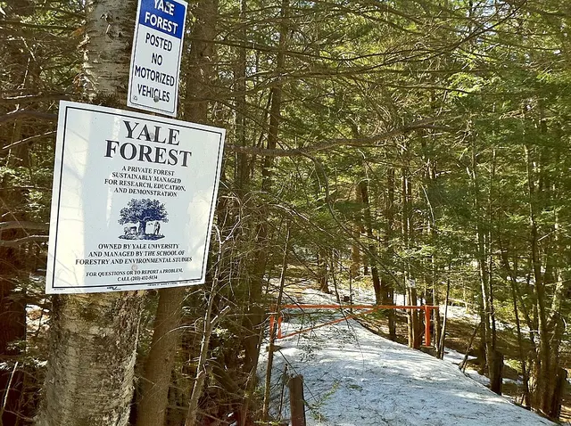 Yale-Myers Forest