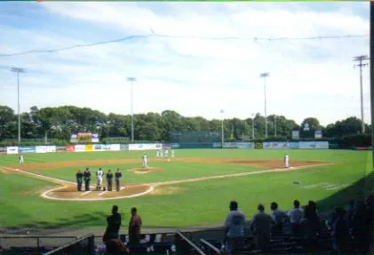 Bush Field