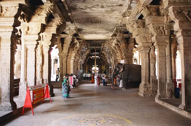Temple elephant