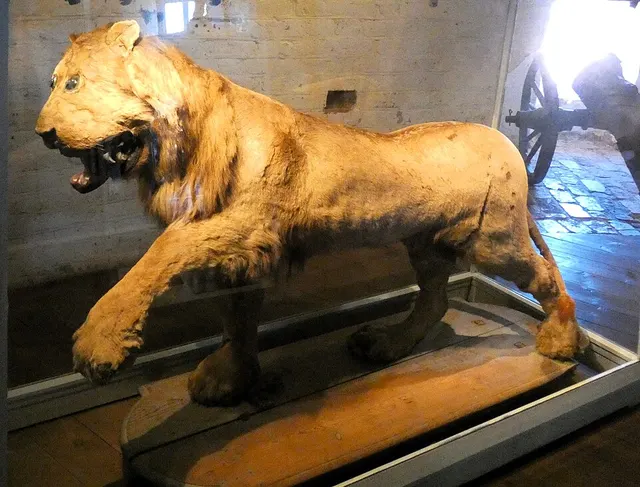 Lion du château de Gripsholm