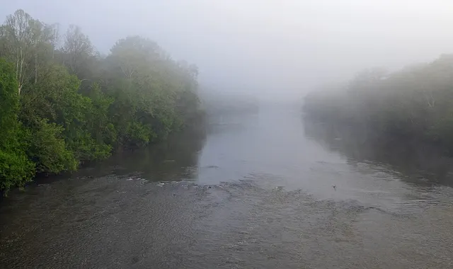 Fishdam Ford