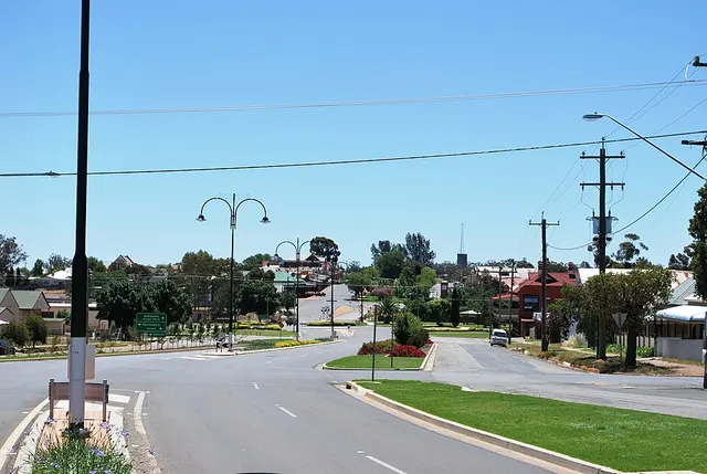 Coolamon
